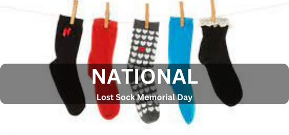National Lost Sock Memorial Day       [नेशनल लॉस्ट सॉक मेमोरियल डे]